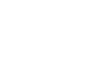 Commercial parts bendix logo white whitespace