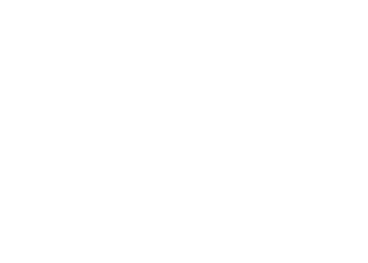 Schwarze logo