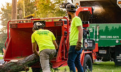 Morbark tree care products