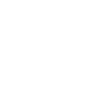 Liebherr construction