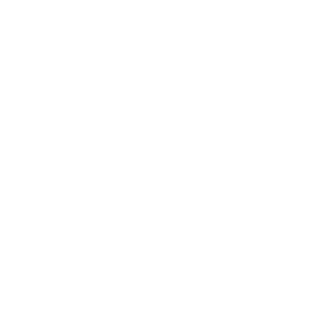 Solvay bank