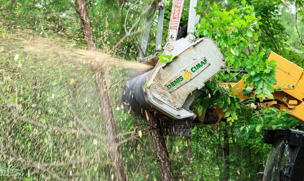 Denis cimaf forestry mulchers