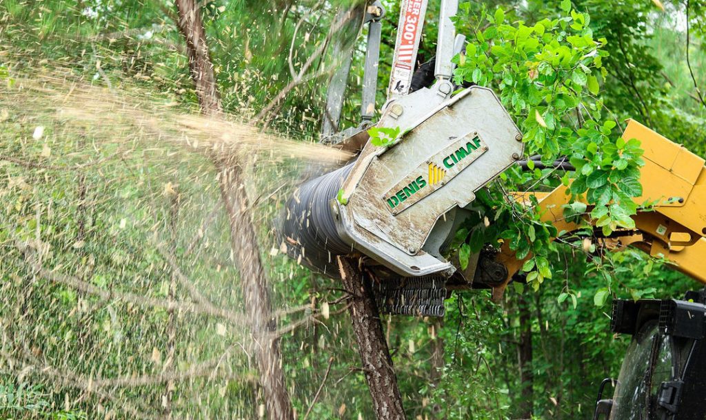 Denis cimaf forestry mulchers