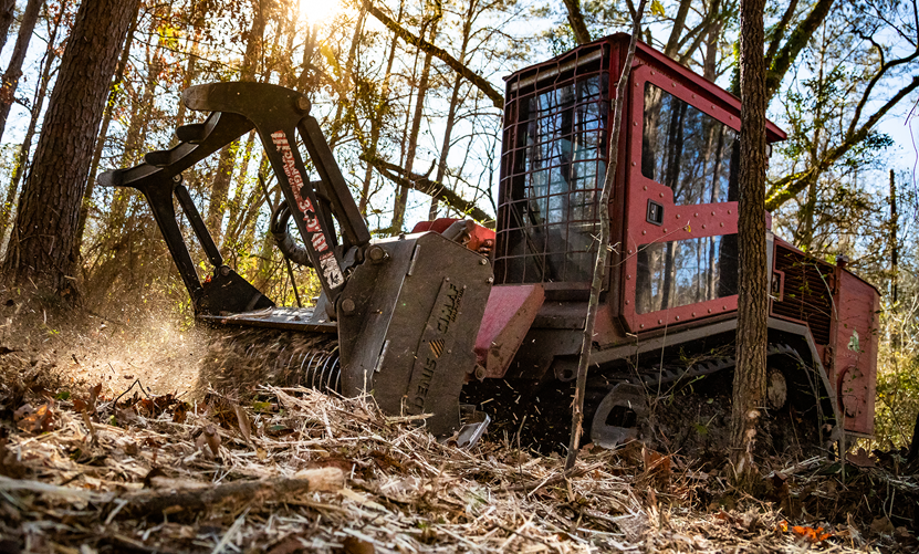 Denis cimaf forestry mulchers