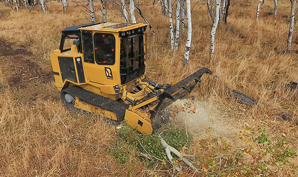 Rayco forestry mulchers - c120