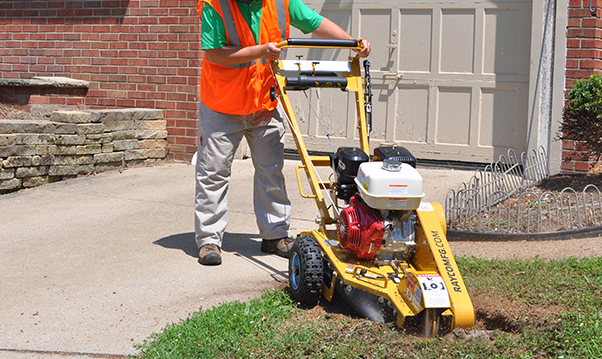 Rayco stump cutters - rg13 series ii