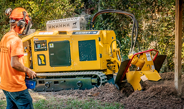 Rayco stump cutters - rg165t-r